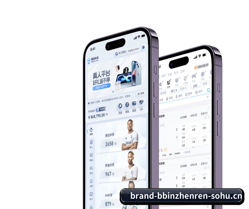 国际化进程